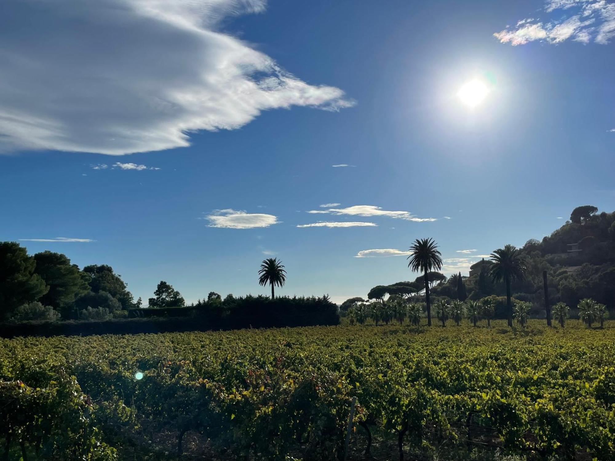 La Villa Cavalaire 외부 사진